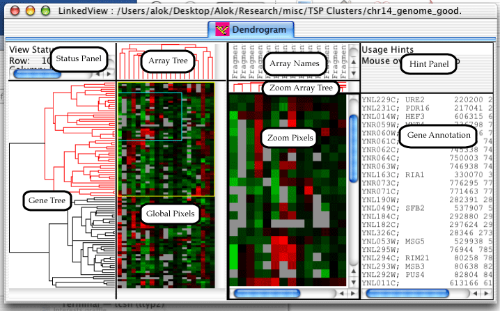 Dendrogram Component Layout